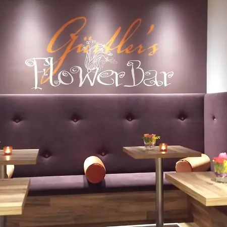 Stadthotel Guertler 3* אמשטטן