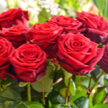 Hotel Stadthotel Gürtler Amstetten