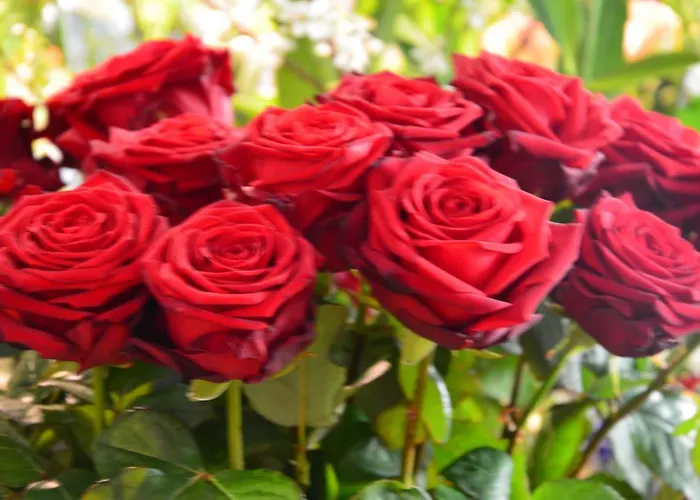 Ξενοδοχείο Stadthotel Guertler Αμστέτεν